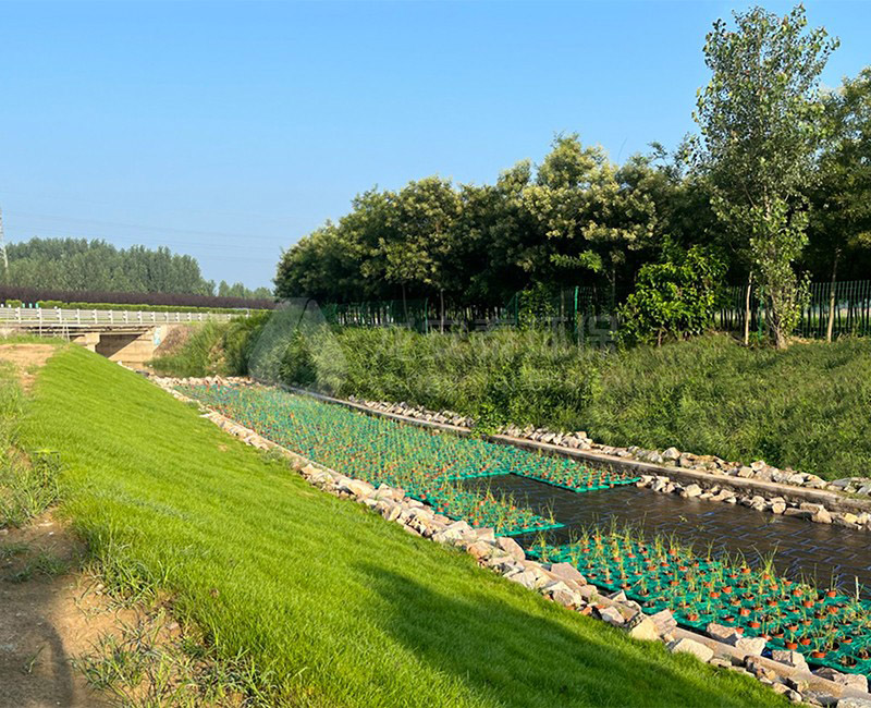 河道水質(zhì)提升 2.jpg